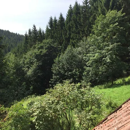 Hutte An Der Wolfskuppe * Sankt Andreasberg