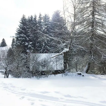 Hutte An Der Wolfskuppe Sankt Andreasberg