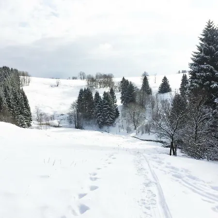 Feriehus Hutte An Der Wolfskuppe *