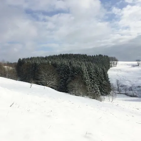 Hutte An Der Wolfskuppe Feriehus