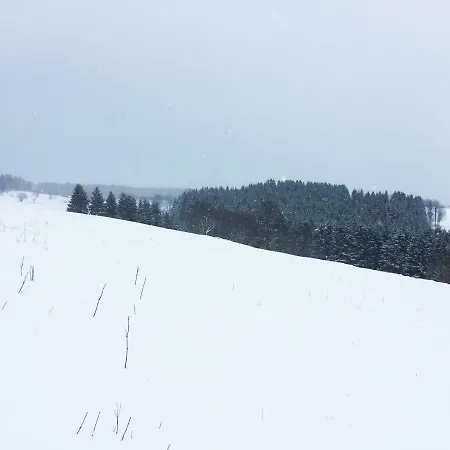 Hutte An Der Wolfskuppe