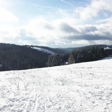 Hutte An Der Wolfskuppe Feriehus