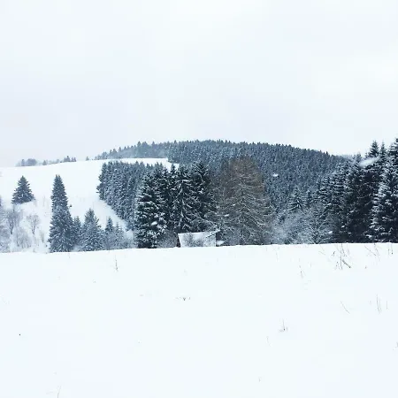 Hutte An Der Wolfskuppe Feriehus *