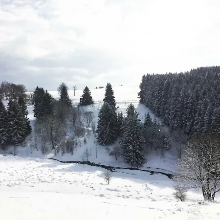 Hutte An Der Wolfskuppe