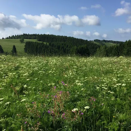 Hutte An Der Wolfskuppe